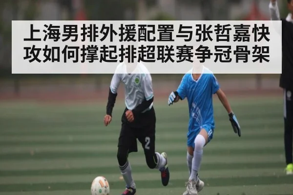 上海男排外援配置与张哲嘉快攻如何撑起排超联赛争冠骨架（kaiyun）